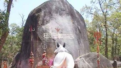 रोज बढ़ता जाता है ये शिवलिंग, जानें इसका राज