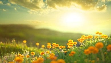 सुबह-सुबह आपके साथ हो ऐसा, तो समझ लें किस्मत बदलने वाली है