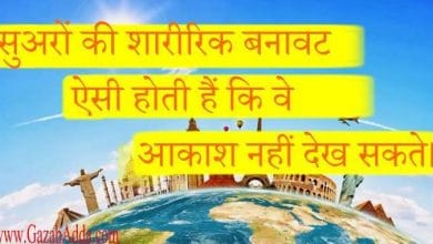 विश्व के बारे में कुछ जानी अनजानी रोचक जानकारियाँ-Inresting Fact About World
