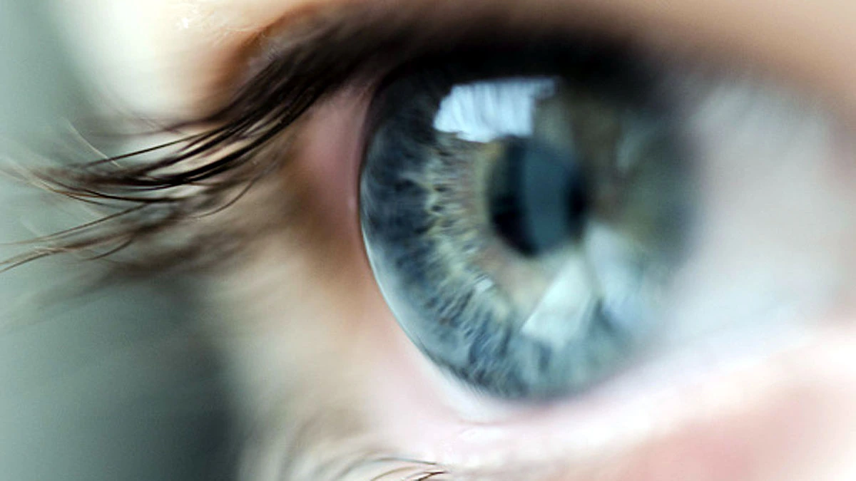 What is Retinal Scan in Eye In Hindi (आंख देखकर पता चलेगा कि आपकी मौत कब होगी)