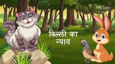 बिल्ली का न्याय की कहानी