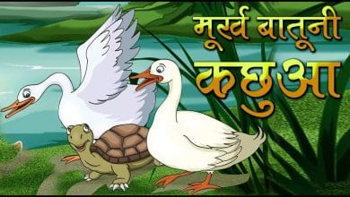 मूर्ख बातूनी कछुआ की कहानी