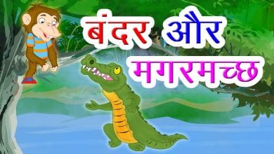 बंदर और मगरमच्छ की कहानी