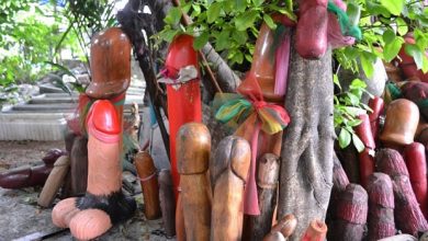 इस मंदिर में चढ़ाये जाते हैं लकड़ी के बने लिंग, जानिए इसका क्या है रहस्य