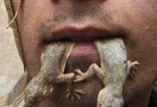 OMG! ये आदमी खाता है छिपकली,कारण जानकर दंग रह जाएंगे आप