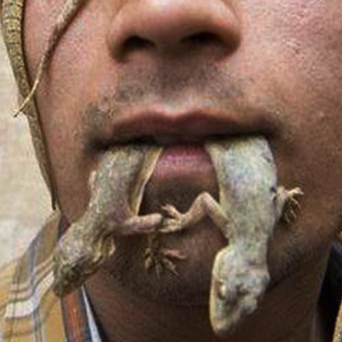 OMG! ये आदमी खाता है छिपकली,कारण जानकर दंग रह जाएंगे आप