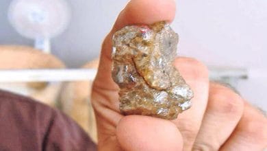 अरे वाह 600 करोड़ रुपए के गणेशजी भारत मे!