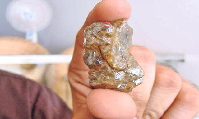 अरे वाह 600 करोड़ रुपए के गणेशजी भारत मे!