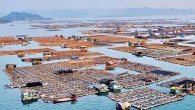 एक ऐसा गाँव जहाँ के लोग समुद्र में घर बनाकर रहते हैं,कहाँ और क्यों ?