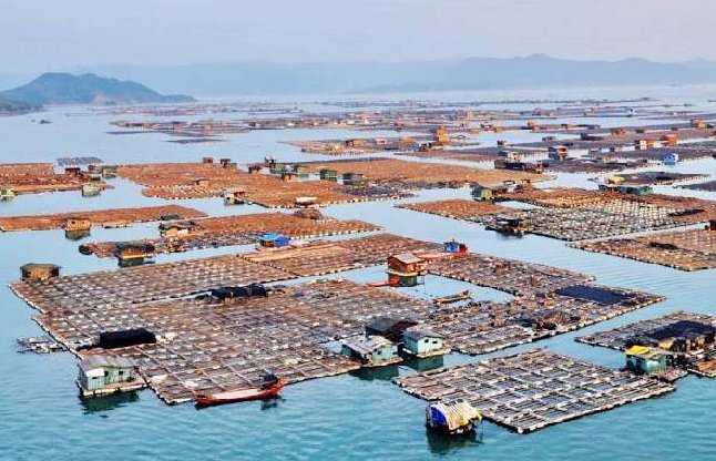 एक ऐसा गाँव जहाँ के लोग समुद्र में घर बनाकर रहते हैं,कहाँ और क्यों ?