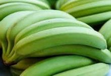 कच्चा केला खाना सेहत के लिए होता है बहुत फायदेमंद