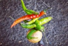 घर को बुरी नजर से बचाने के लिए करें यह वास्तु उपाय...!!