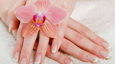 जानिए, उंगलियों के पास आप के शरीर के उन हिस्सों की सीक्रेट जानकारियां होती हैं !