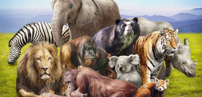 जीव जंतुओं के बारे में 15 रोचक तथ्य शायद ही आप जानते होंगे.