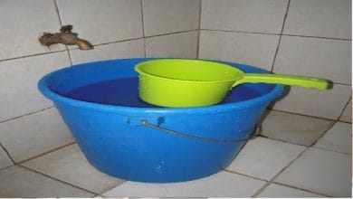 बाथरूम में इस प्रकार रखें नीली बाल्टी,सवर जाएगी किस्मत