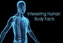 मानव शरीर के बारे में 20+ ऐसे मजेदार तथ्य, जो आप में से शायद ही कोई जानता हो।