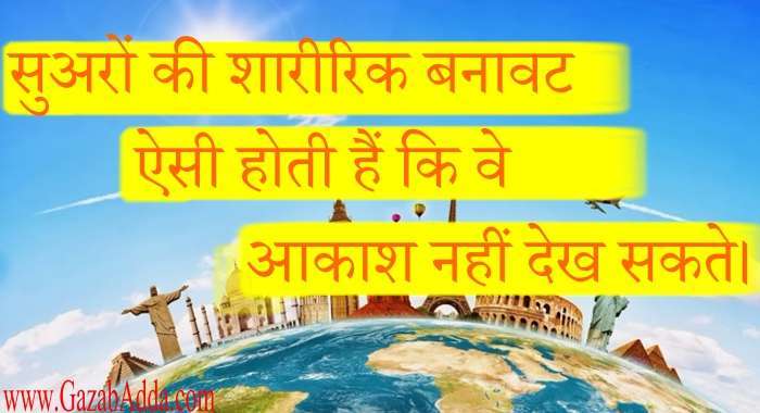 विश्व के बारे में कुछ जानी अनजानी रोचक जानकारियाँ-Inresting Fact About World