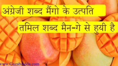 Mango Facts in Hindi | आम के बारे में कुछ ख़ास बातें जानिए। -