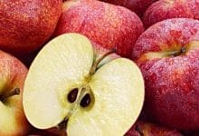 कुछ रोचक बातें जो शायद ही आप नही जानते हों#13 Some Intresting Facts, Awesome Facts