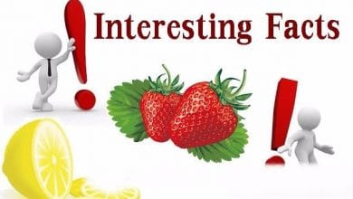 ये नए रोचक तथ्य पढ़ लो, दिल बाग़ बाग़ हो जाएगा. Read these new interesting facts, heart garden will be parked.#2