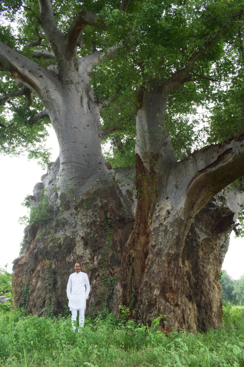 कल्पवृक्ष एक मुहिम Kalpavriksha ki Katha- Fatehpur Rahasya