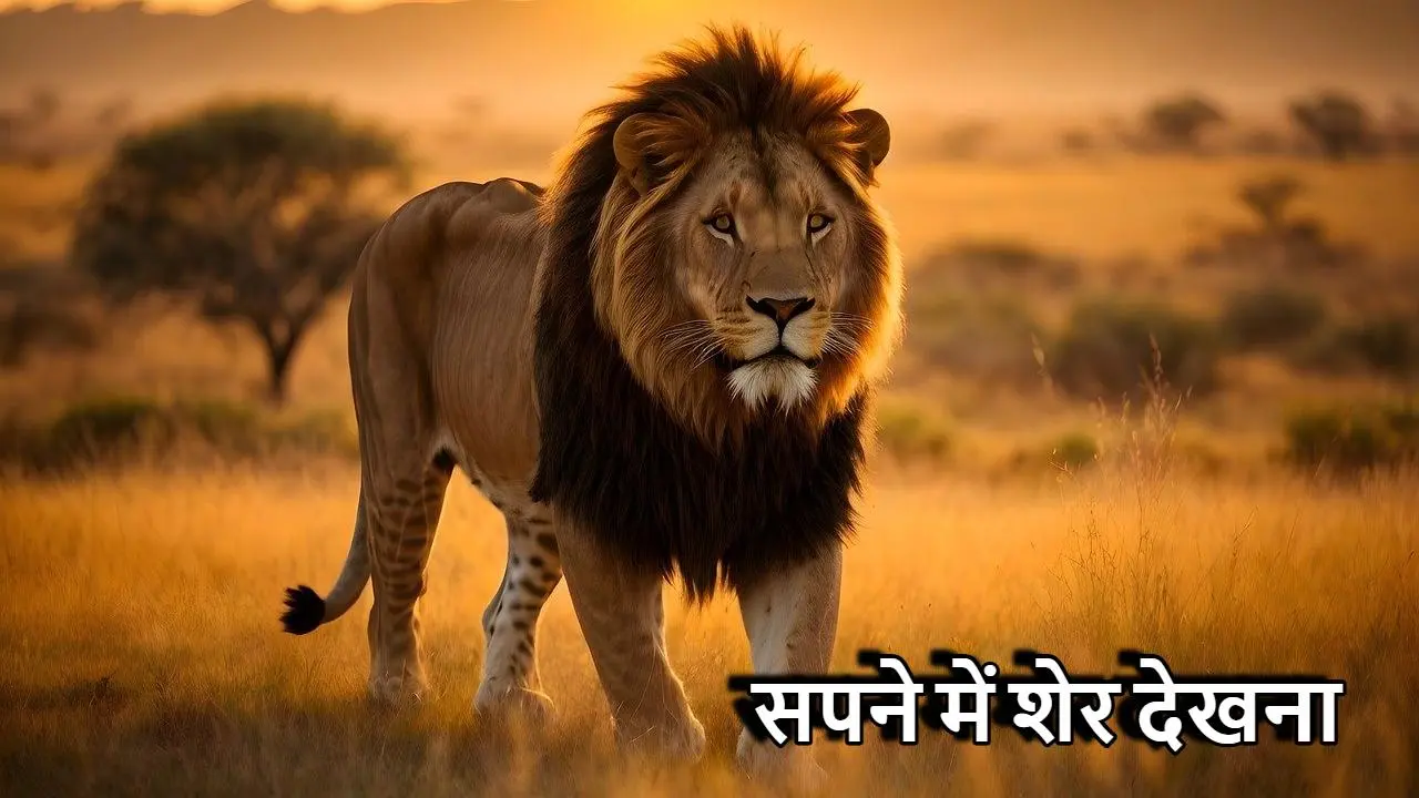 सपने में शेर देखना क्या होता है शुभ या अशुभ