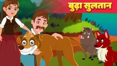 बूढ़ा सुलतान: परियों की कहानी Boodha Sultan: Fairy Tale in Hindi