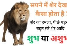 सपने में शेर देखना क्या होता है शुभ या अशुभ