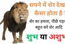 सपने में शेर देखना क्या होता है शुभ या अशुभ