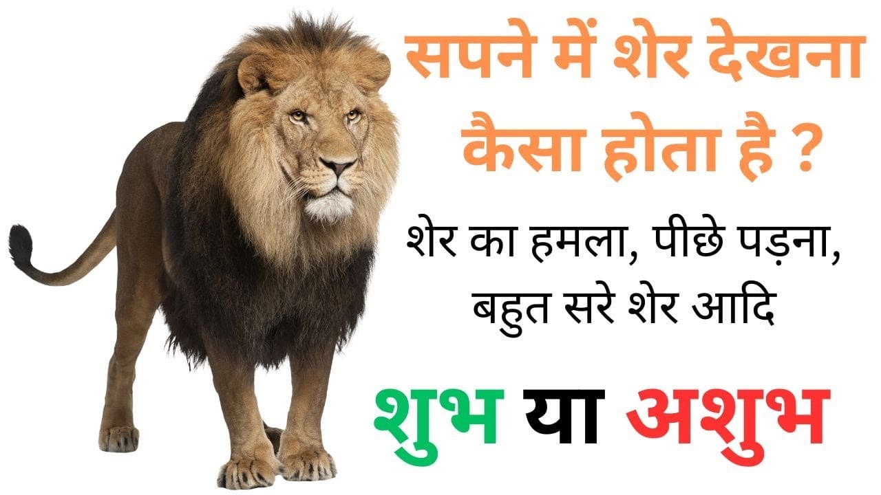 सपने में शेर देखना
