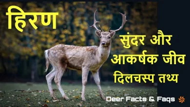 आभारी हिरणी हिन्दी कहानी