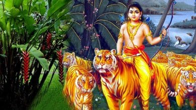 अय्यप्पन का अवतार हिन्दी कहानी