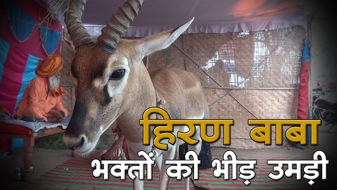 आभारी हिरणी हिन्दी कहानी Aabhari Hirni Story in Hindi
