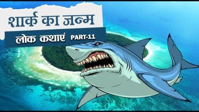 शार्क का जन्म हिन्दी लोक कथा