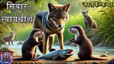 सियार न्यायधीश जातक कथा