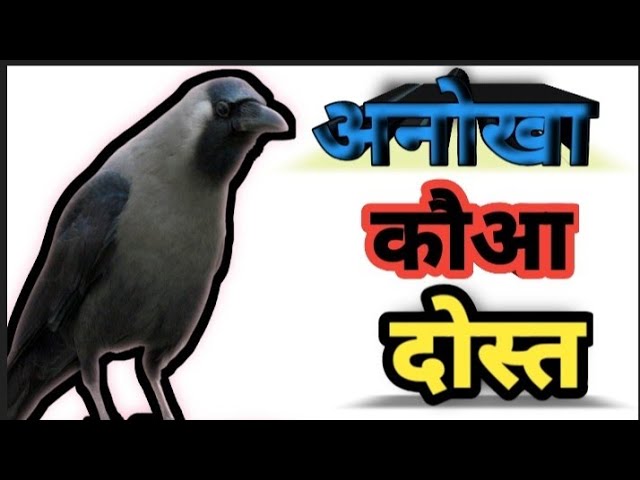 अनोखा दोस्त कौआ हिन्दी कहानी Anokha Dost Kaua Story in Hindi